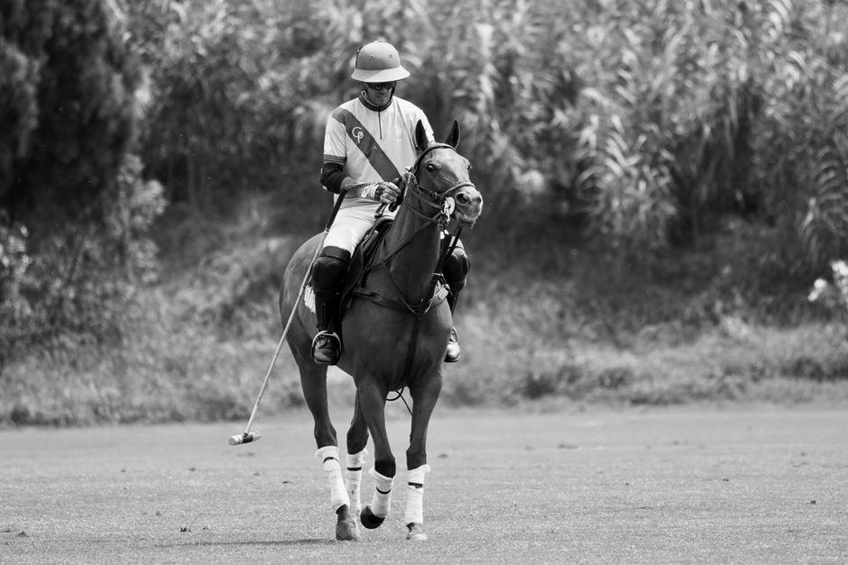 Essential Polo Equipment: Building Your Kit