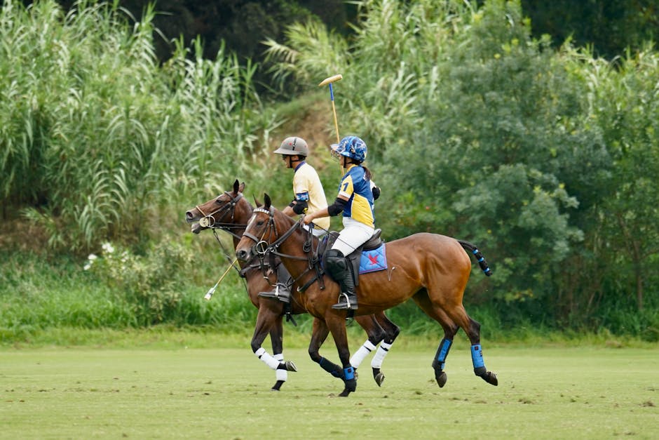 Getting Started with Polo: A Beginner's Guide